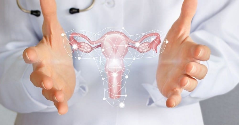 How to Clean Uterus After a Miscarriage Naturally Steps to Take